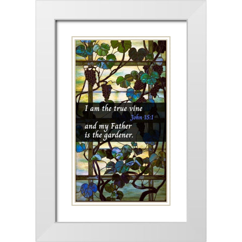 Bible Verse Quote John 15:1, Louis Comfort Tiffany - Grapevine Panel White Modern Wood Framed Art Print with Double Matting by ArtsyQuotes