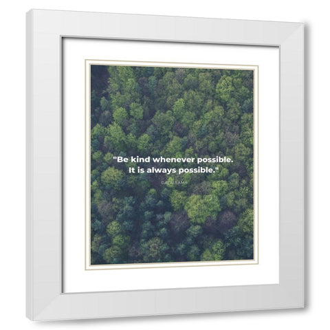 Dalai Lama Quote: Be Kind White Modern Wood Framed Art Print with Double Matting by ArtsyQuotes
