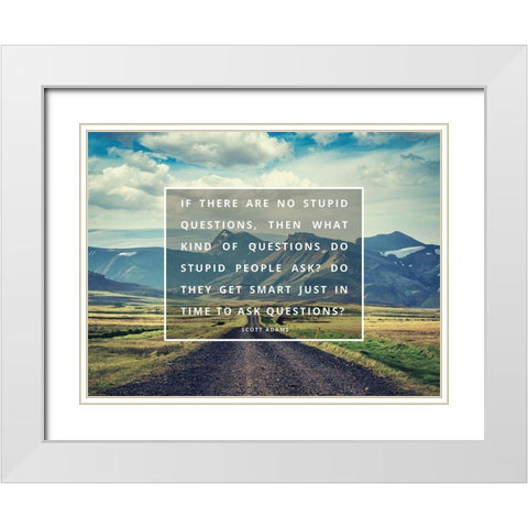 Scott Adams Quote: No Stupid Questions White Modern Wood Framed Art Print with Double Matting by ArtsyQuotes