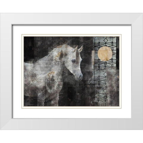Horse in the sun White Modern Wood Framed Art Print with Double Matting by Wiley, Marta