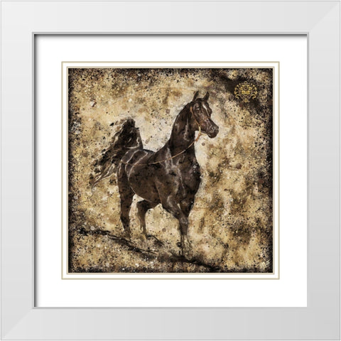 Black Arabian I White Modern Wood Framed Art Print with Double Matting by Wiley, Marta