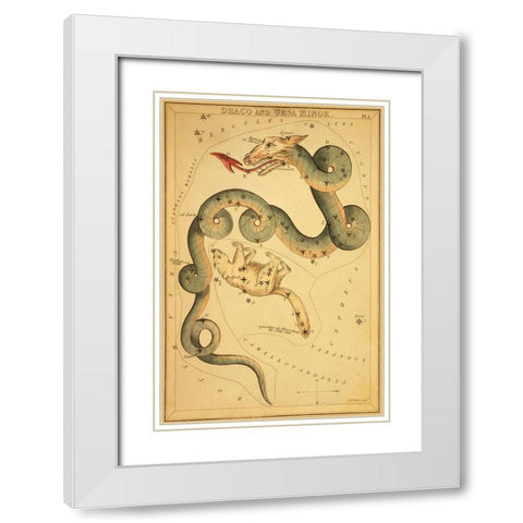Draco and Ursa Minor, 1825 White Modern Wood Framed Art Print with Double Matting by Aspin, Jehoshaphat