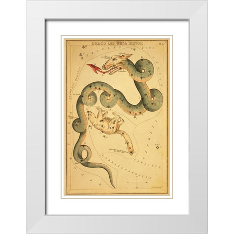 Draco and Ursa Minor, 1825 White Modern Wood Framed Art Print with Double Matting by Aspin, Jehoshaphat