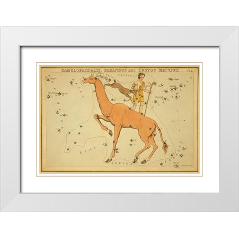 Camelopardalis, Tarandus and Custos Messium, 1825 White Modern Wood Framed Art Print with Double Matting by Aspin, Jehoshaphat