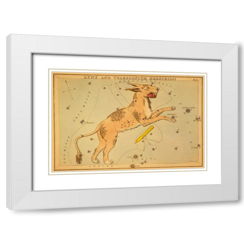 Lynx and Telescopium Herschilii, 1825 White Modern Wood Framed Art Print with Double Matting by Aspin, Jehoshaphat