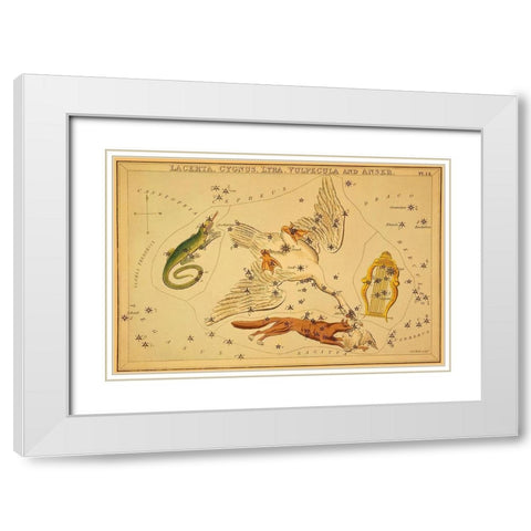 Lacerta, Cygnus, Lyra, Vulpecula and Anser, 1825 White Modern Wood Framed Art Print with Double Matting by Aspin, Jehoshaphat