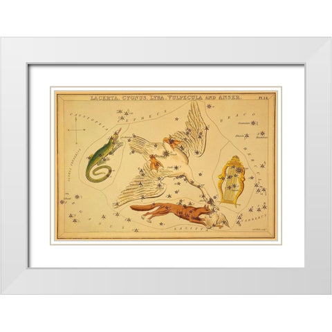 Lacerta, Cygnus, Lyra, Vulpecula and Anser, 1825 White Modern Wood Framed Art Print with Double Matting by Aspin, Jehoshaphat