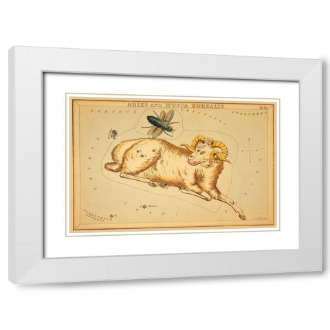 Aries and Musca Borealis, 1825 White Modern Wood Framed Art Print with Double Matting by Aspin, Jehoshaphat