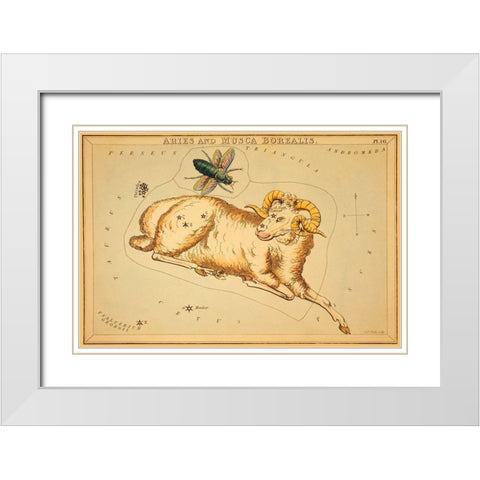 Aries and Musca Borealis, 1825 White Modern Wood Framed Art Print with Double Matting by Aspin, Jehoshaphat