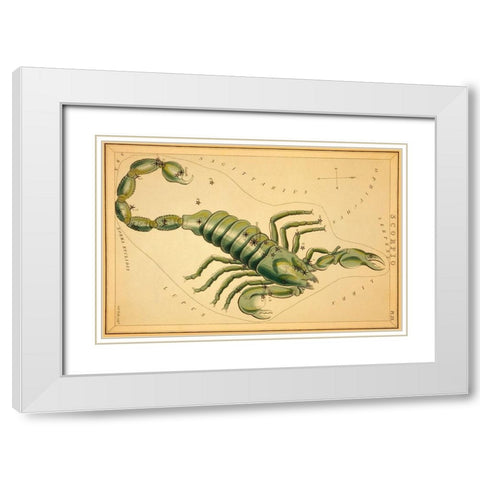 Scorpio, 1825 White Modern Wood Framed Art Print with Double Matting by Aspin, Jehoshaphat