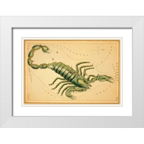 Scorpio, 1825 White Modern Wood Framed Art Print with Double Matting by Aspin, Jehoshaphat