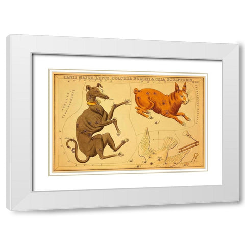 Canis Major, Lepus, Columba Noachi and Cela Sculptoris, 1825 White Modern Wood Framed Art Print with Double Matting by Aspin, Jehoshaphat