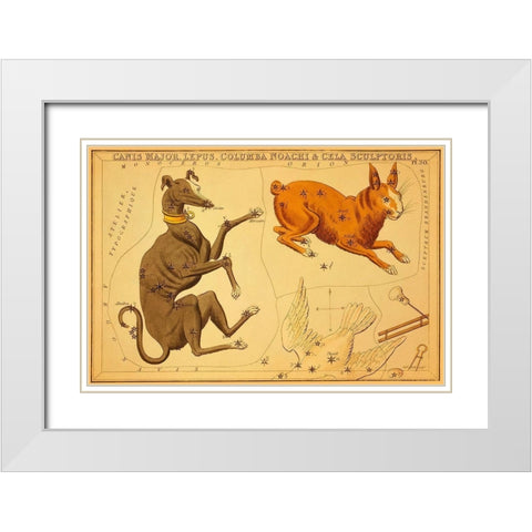 Canis Major, Lepus, Columba Noachi and Cela Sculptoris, 1825 White Modern Wood Framed Art Print with Double Matting by Aspin, Jehoshaphat