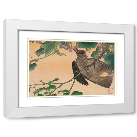 Bird Eating a Grape White Modern Wood Framed Art Print with Double Matting by Kesai, Kuwagata