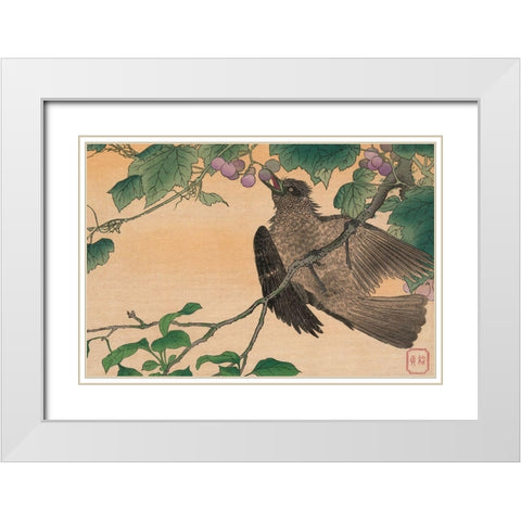 Bird Eating a Grape White Modern Wood Framed Art Print with Double Matting by Kesai, Kuwagata