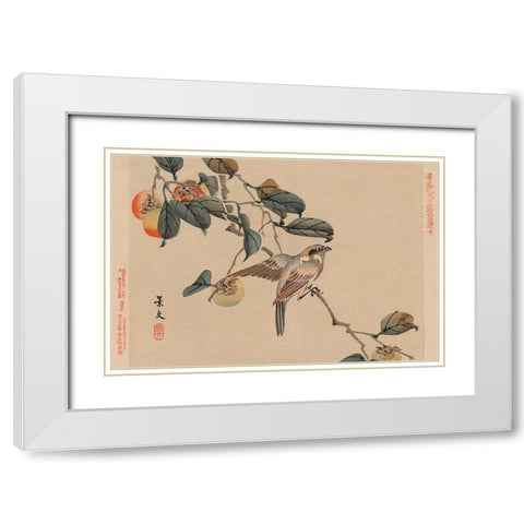 Bird perched on a branch from a fruit persimmon tree., 1892 White Modern Wood Framed Art Print with Double Matting by Matsumura, Keibun