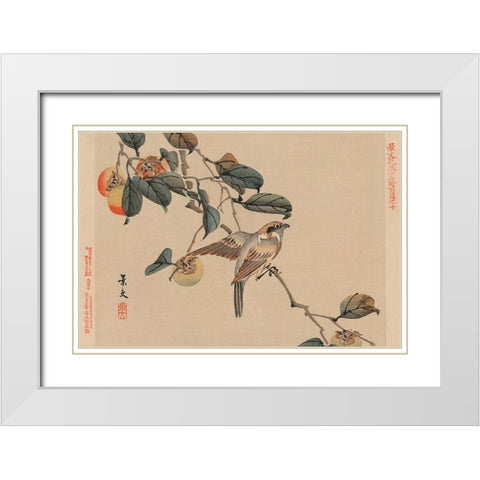 Bird perched on a branch from a fruit persimmon tree., 1892 White Modern Wood Framed Art Print with Double Matting by Matsumura, Keibun