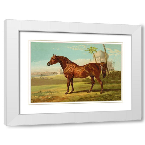 Goldie Arab, 1900 White Modern Wood Framed Art Print with Double Matting by Sidney, Samuel