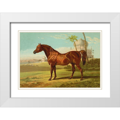 Goldie Arab, 1900 White Modern Wood Framed Art Print with Double Matting by Sidney, Samuel