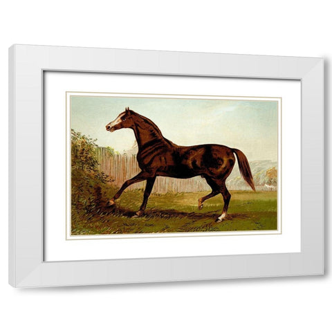 Blair Athol, 1900 White Modern Wood Framed Art Print with Double Matting by Sidney, Samuel