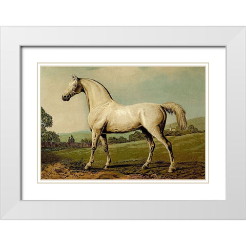 Mambrino, 1900 White Modern Wood Framed Art Print with Double Matting by Sidney, Samuel