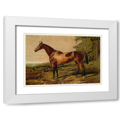 Fair Nell, 1900 White Modern Wood Framed Art Print with Double Matting by Sidney, Samuel