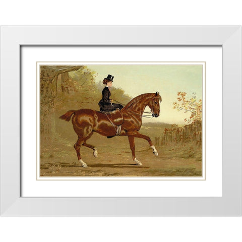 Book of the Horse, 1900 White Modern Wood Framed Art Print with Double Matting by Sidney, Samuel