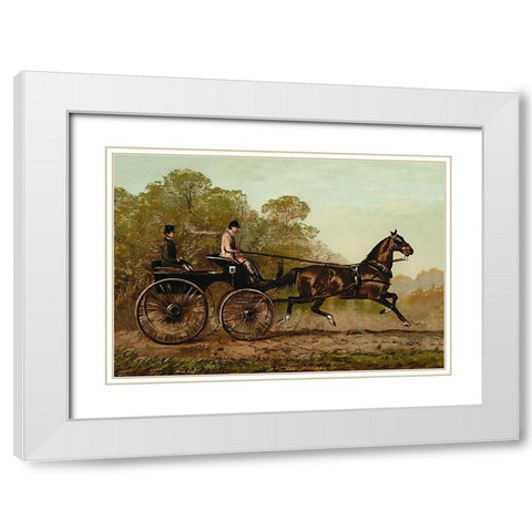 Columbine, 1900 White Modern Wood Framed Art Print with Double Matting by Sidney, Samuel