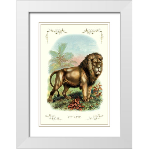 The Lion, 1900 White Modern Wood Framed Art Print with Double Matting by Unknown