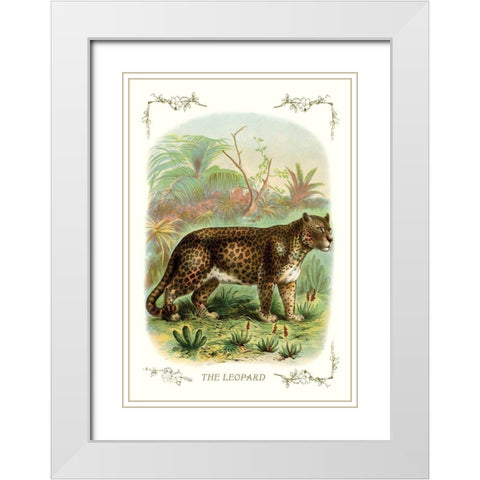 The Leopard, 1900 White Modern Wood Framed Art Print with Double Matting by Unknown