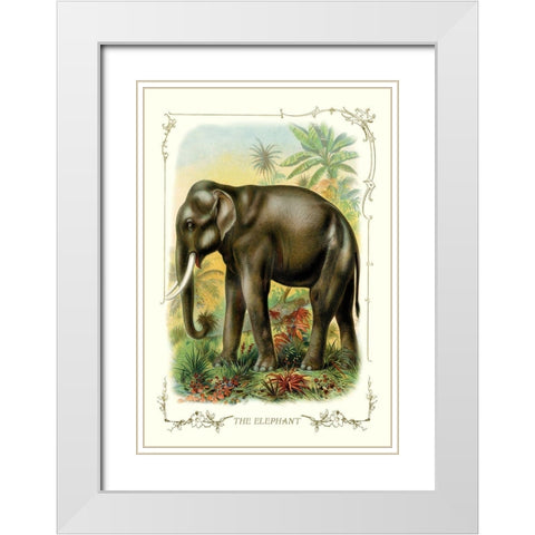 The Elephant, 1900 White Modern Wood Framed Art Print with Double Matting by Unknown