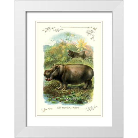The Hippopotamus, 1900 White Modern Wood Framed Art Print with Double Matting by Unknown
