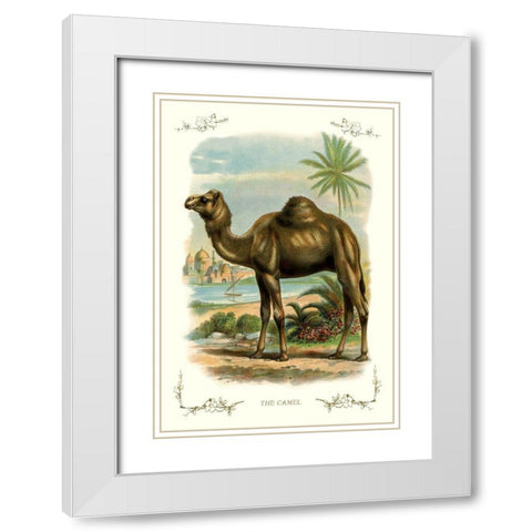 The Camel, 1900 White Modern Wood Framed Art Print with Double Matting by Unknown