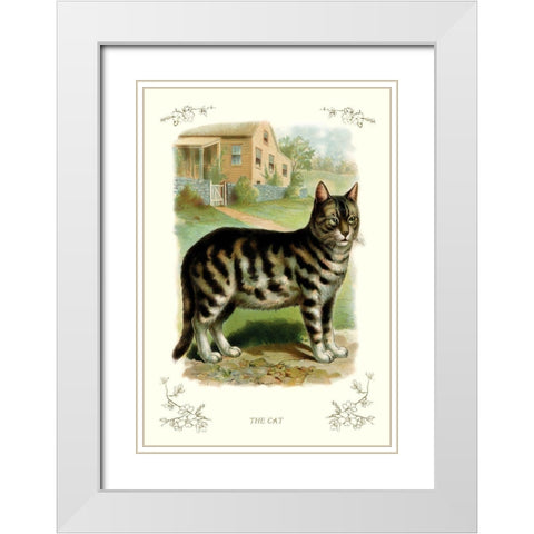The Cat, 1900 White Modern Wood Framed Art Print with Double Matting by Unknown