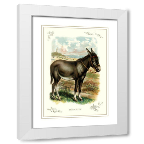 The Donkey, 1900 White Modern Wood Framed Art Print with Double Matting by Unknown