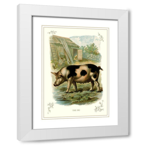 The Pig, 1900 White Modern Wood Framed Art Print with Double Matting by Unknown