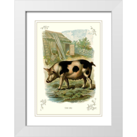 The Pig, 1900 White Modern Wood Framed Art Print with Double Matting by Unknown