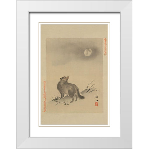 Fox White Modern Wood Framed Art Print with Double Matting by Unknown