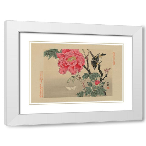 Bird watching a Butterfly White Modern Wood Framed Art Print with Double Matting by Unknown
