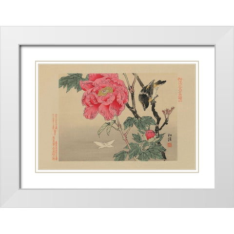 Bird watching a Butterfly White Modern Wood Framed Art Print with Double Matting by Unknown