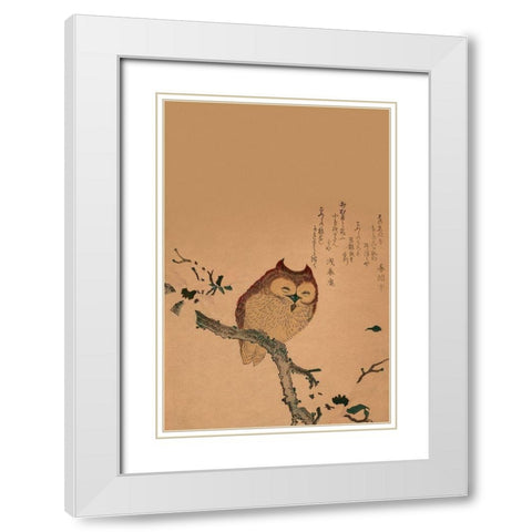 Owl of Branch White Modern Wood Framed Art Print with Double Matting by Unknown