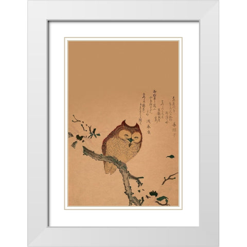 Owl of Branch White Modern Wood Framed Art Print with Double Matting by Unknown