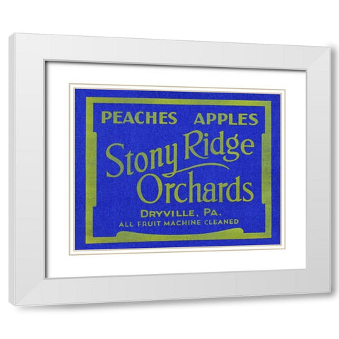 Stony Ridge Orchards Peaches and Apples White Modern Wood Framed Art Print with Double Matting by Unknown