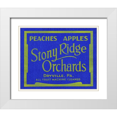 Stony Ridge Orchards Peaches and Apples White Modern Wood Framed Art Print with Double Matting by Unknown