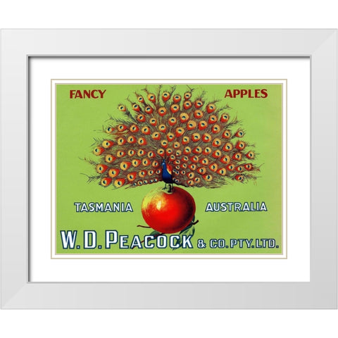 W.D. Peacock Fancy Apples White Modern Wood Framed Art Print with Double Matting by Retrolabel