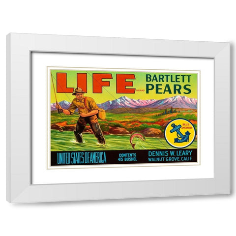 Life Brand Bartlett Pears White Modern Wood Framed Art Print with Double Matting by Retrolabel