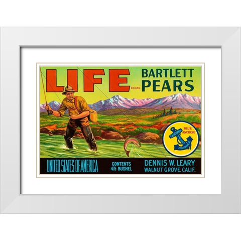 Life Brand Bartlett Pears White Modern Wood Framed Art Print with Double Matting by Retrolabel