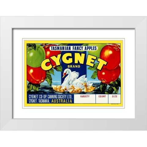 Cygnet Tasmanian Fancy Apples White Modern Wood Framed Art Print with Double Matting by Retrolabel