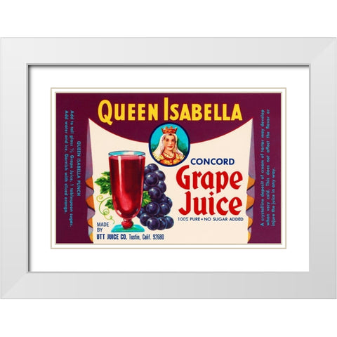 Queen Isabella Concord Grape Juice White Modern Wood Framed Art Print with Double Matting by Retrolabel