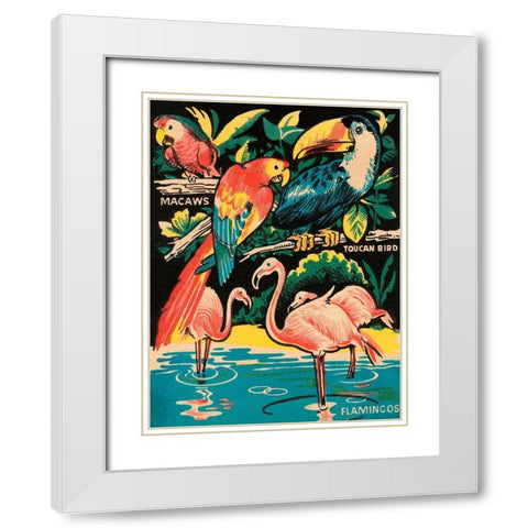 Tropical Hobbyland - Birds White Modern Wood Framed Art Print with Double Matting by Retrotravel